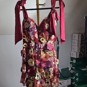 Buddy Love Red Floral Embroidered Mini Dress